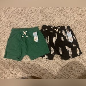 Boys XS (4/5) shorts and shirt bundle